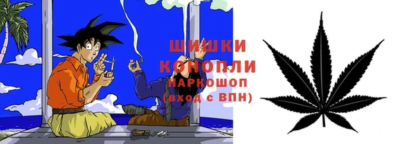 PSILOCYBIN Балабаново