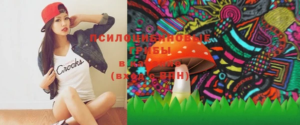 PSILOCYBIN Балабаново