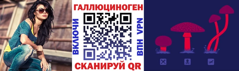 сколько стоит  Сланцы  Галлюциногенные грибы Psilocybine cubensis 