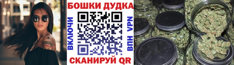 Конопля Bruce Banner  это Telegram  Сланцы 